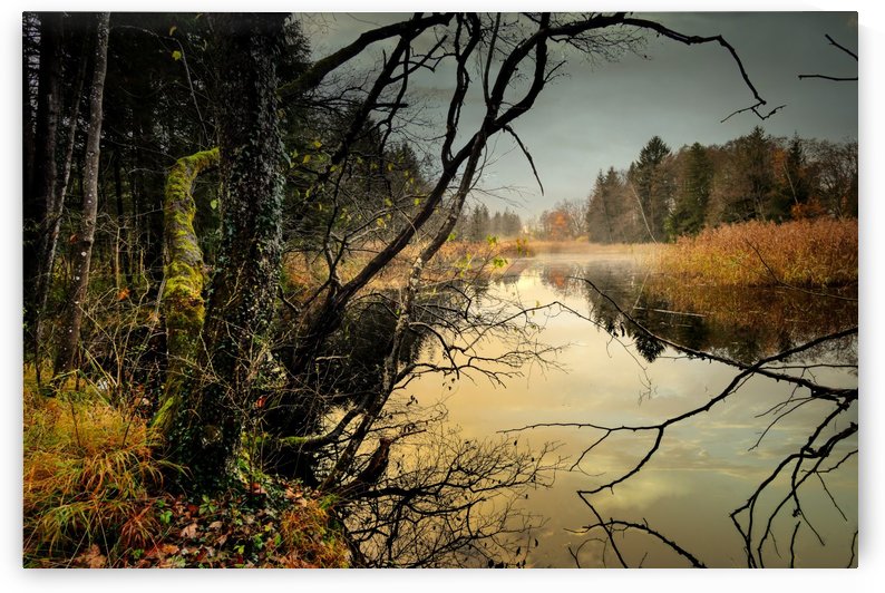 lake pond fog water waters by Shamudy