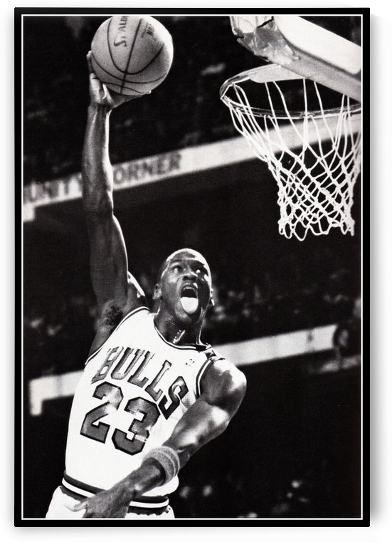 Michael Jordan Soars by Row One Brand