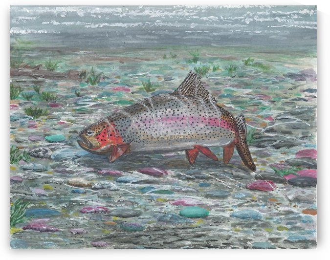 Lone Rainbow Trout by Lee Garrett