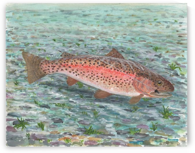 Hooked by Lee Garrett