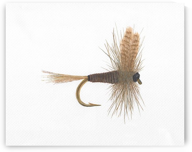 Quill Gordon Dry Fly by Lee Garrett