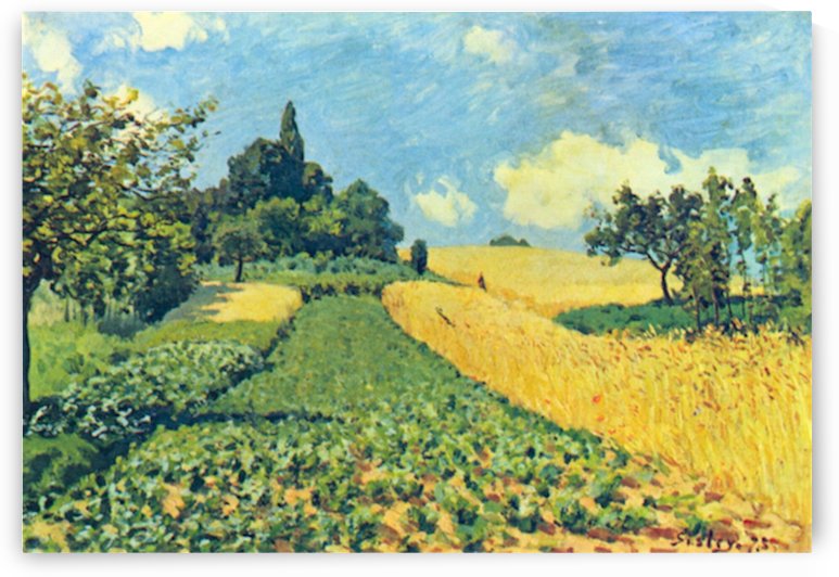 Grain fields on the hills of Argenteuil by Sisley