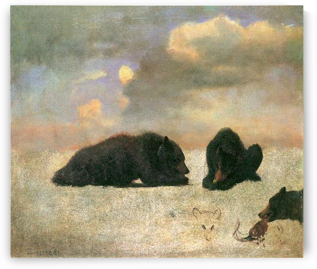 Grizzly Bears by Bierstadt