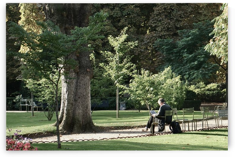 Chaises du Luxembourg   12 by Alain Harrus