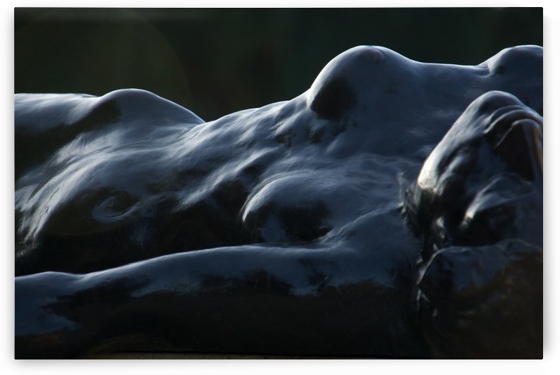 Rodin January 2014 508 by Alain Harrus