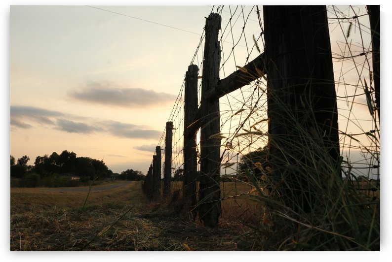 Land  by IsabelVictoria