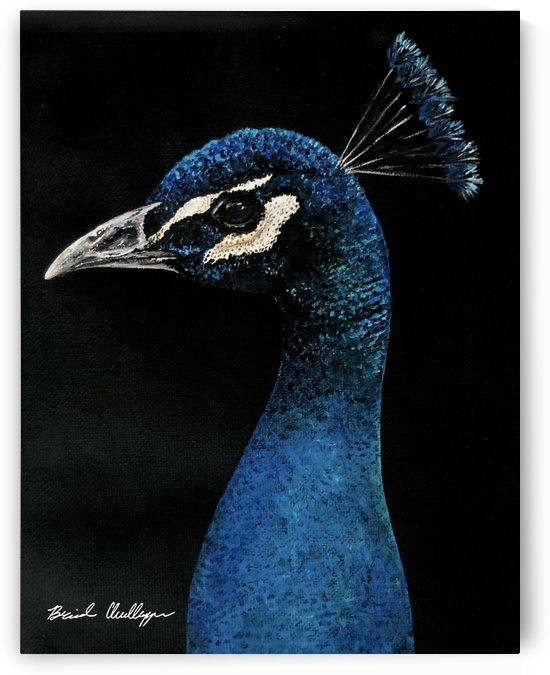Peacock Portrait by Brinda Chellappan