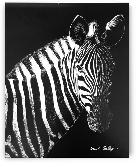 Zebra Portrait by Brinda Chellappan