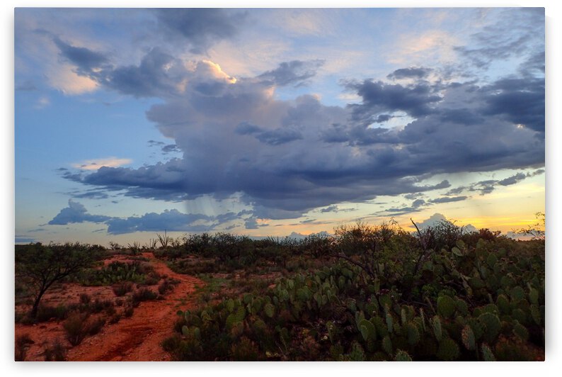 Early Morning Shower Over Arizona Desert  by  Matt Gragg 