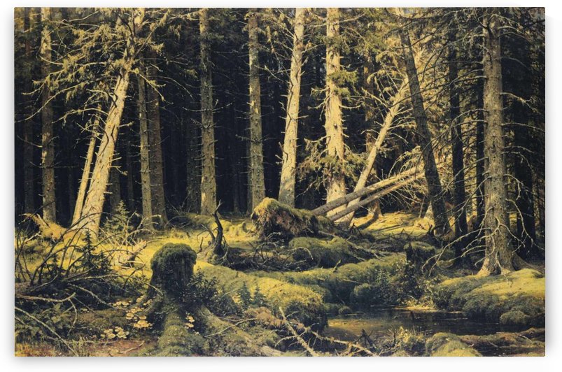 Oak Woods By Ivan Shishkin Fine art print NEW