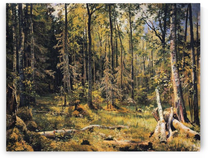 Shmetsk Near Narva by Ivan Shishkin