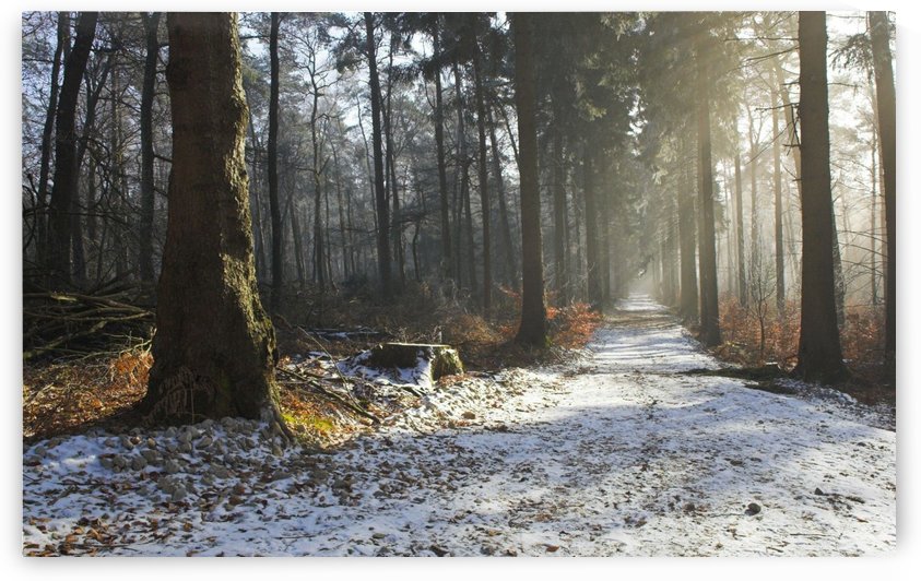 The first snow fell by Ivan Shishkin