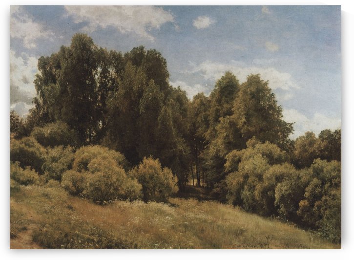 The glade by Ivan Shishkin