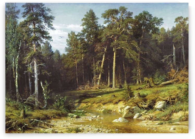 Pine Forest in Viatka Province by Ivan Shishkin