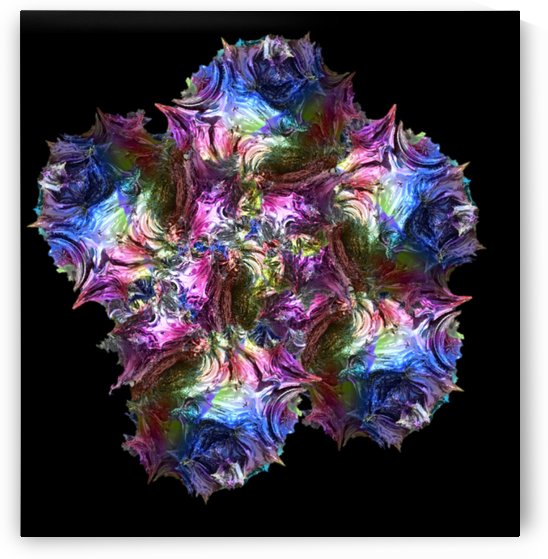 Rainbow Rose by Lee Garrett