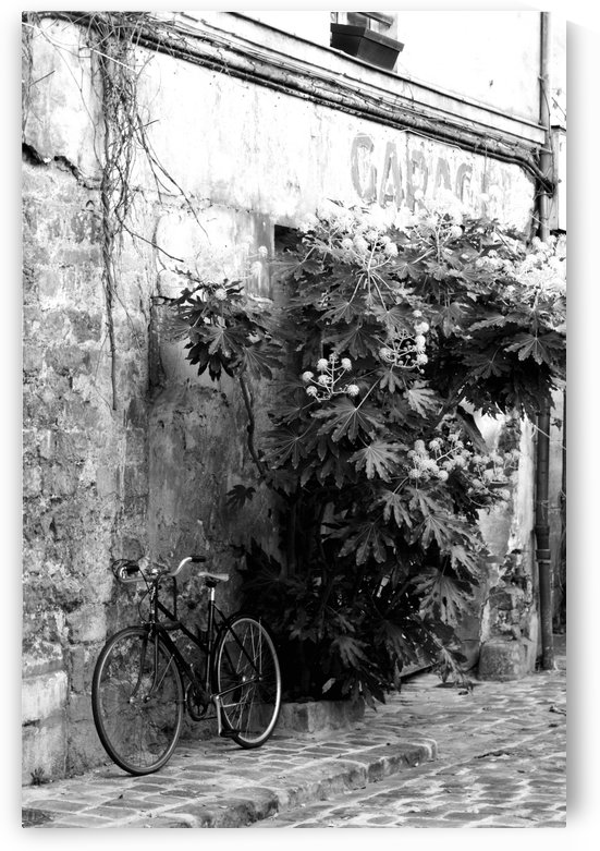 Bike in Passage by Bill Osuch