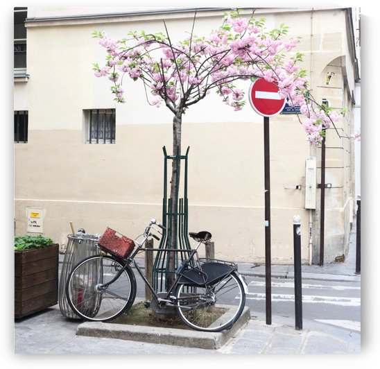 Le Printemps est partout by Bill Osuch