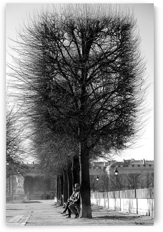 A Winters Day by Bill Osuch