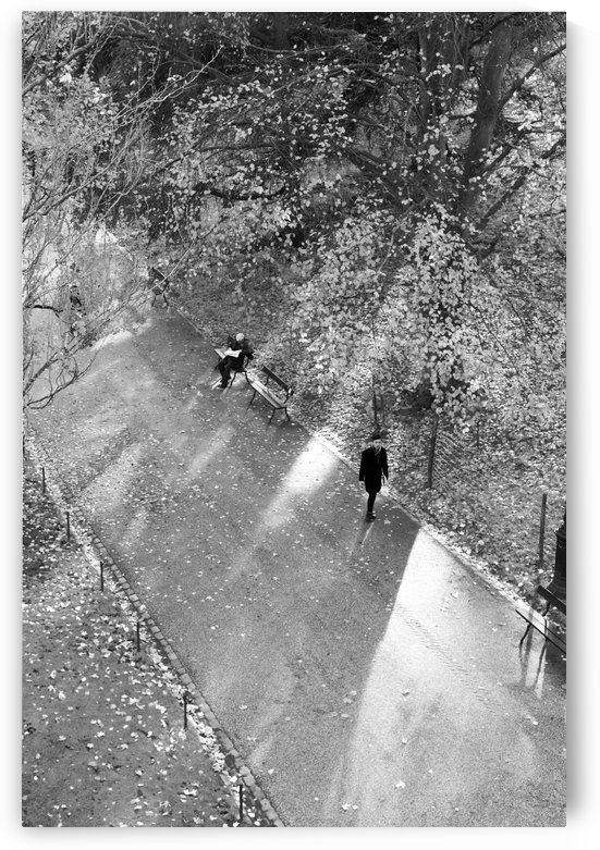 Winter Shadows Buttes Chaumont by Bill Osuch