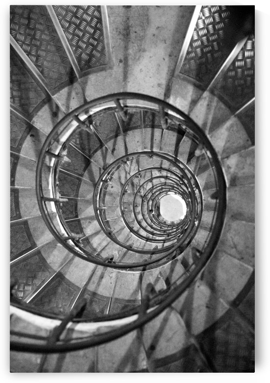 Escargot by Bill Osuch