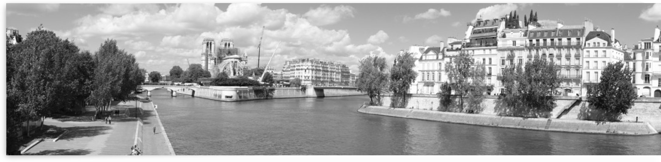 Ile de la Cite by Bill Osuch