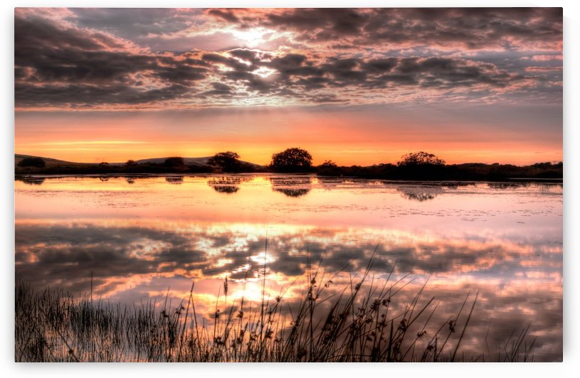 Broad Pool North Gower by Leighton Collins