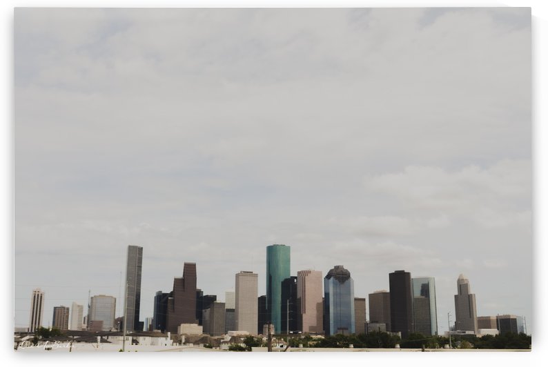 Houston Skyline by Lisa Ann Barker