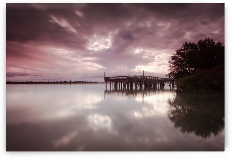Fraser river boardwalk by Leighton Collins