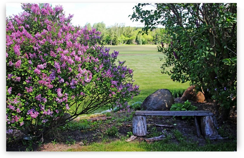 A Place To Contemplate by Deb Oppermann