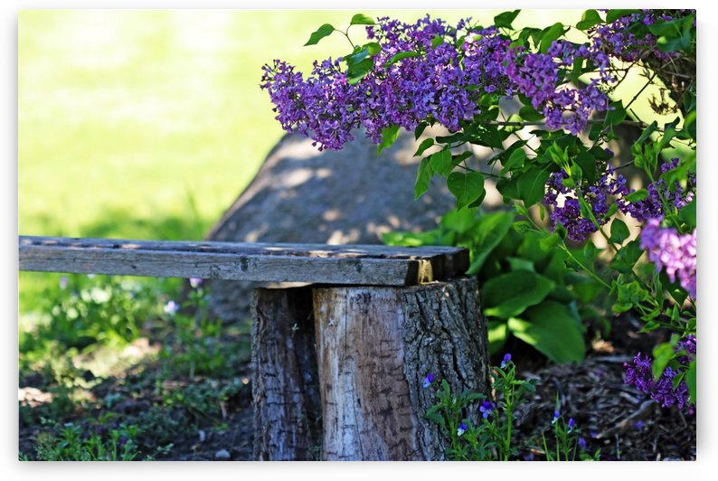 Inhale The Sweetness by Deb Oppermann