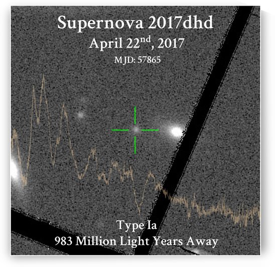 Llewyn Birthday SN by dillon brout