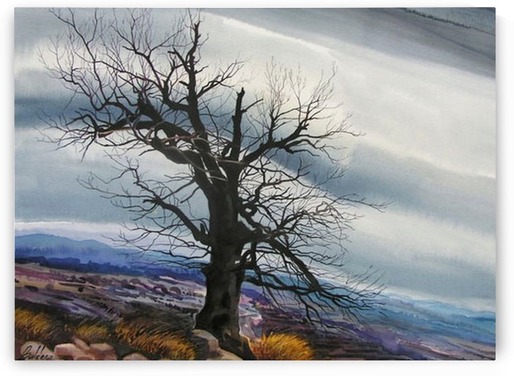 The Magical Tree by Al Serino