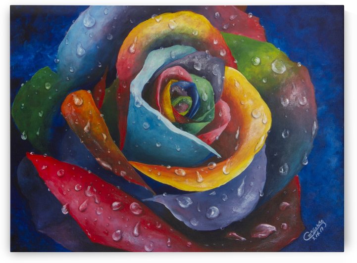 The Rose by C  McGowen