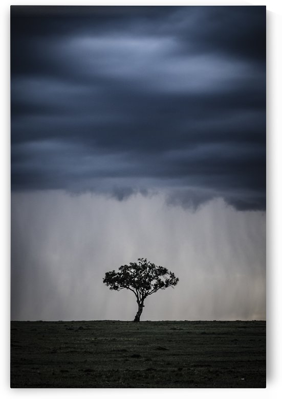 Drama in The Mara by JADUPONT PHOTO