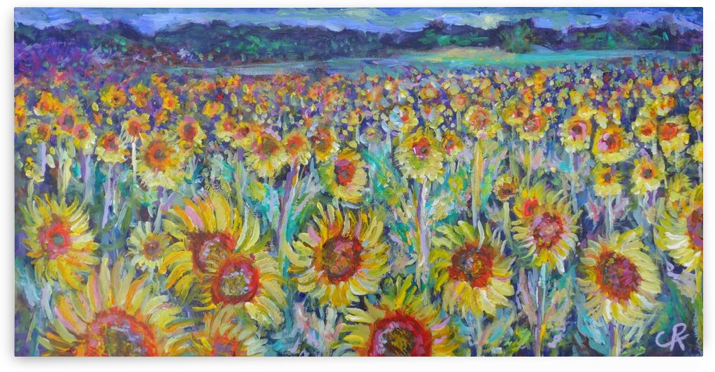 Sunflowers in field by Chris Rutledge