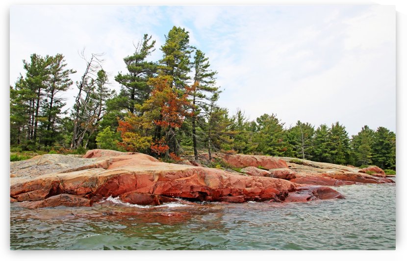 Pink Granite Of Georgian Bay VIII by Deb Oppermann