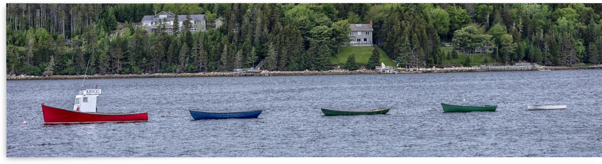 All in a Row by ROHphotos