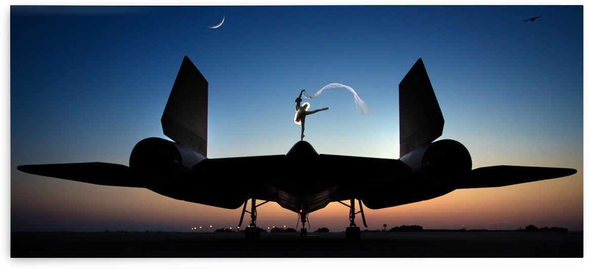 Area 71 Power and Grace by DARIO INFINI