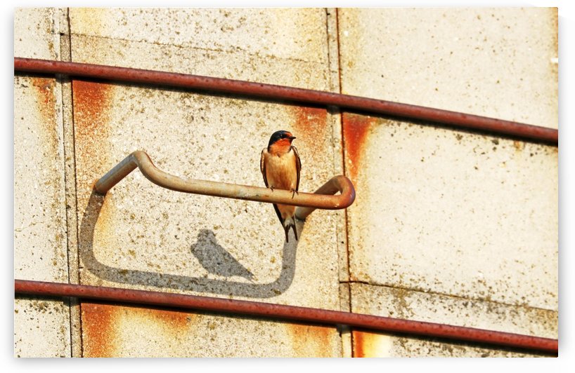 The Two Of Me by Deb Oppermann