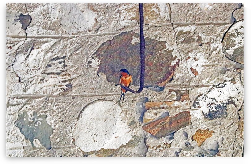 Hooked by Deb Oppermann