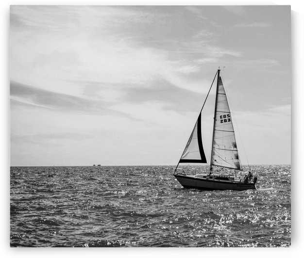 EB8C2630 8972 494A 8BD4 0DB0709FD167 by Sheffield Turner