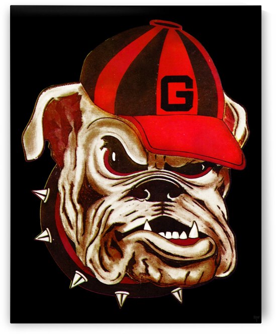 1966 Vintage Georgia Bulldog Art  by Row One Brand