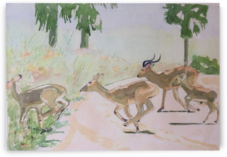 East Africa Cobbs 1 by Adrian Butt