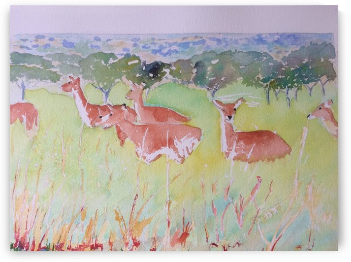 East Africa Cobbs 2 by Adrian Butt