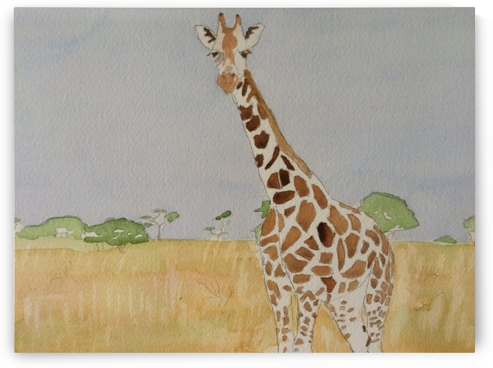 East Africa Giraffe by Adrian Butt