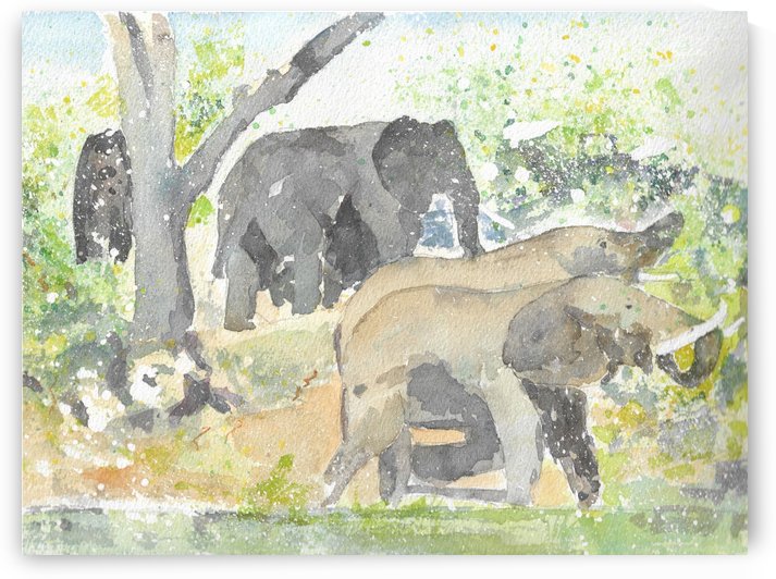 African Elephants 1 by Adrian Butt