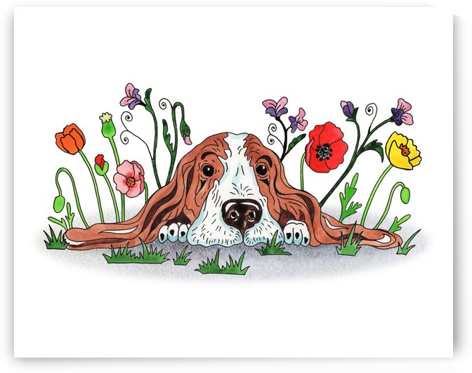 Super Sweet Cute Basset Poppy With Poppies Watercolor by Irina Sztukowski