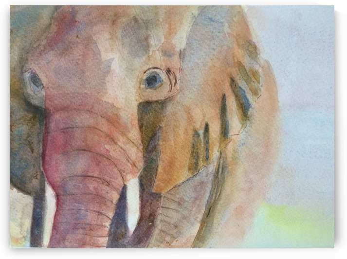 East African Elephant by Adrian Butt