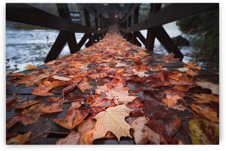 Focus automnal by Sébastien Bouchard Photographies
