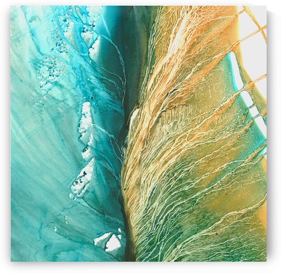 Leaves Series by Shulin Sun